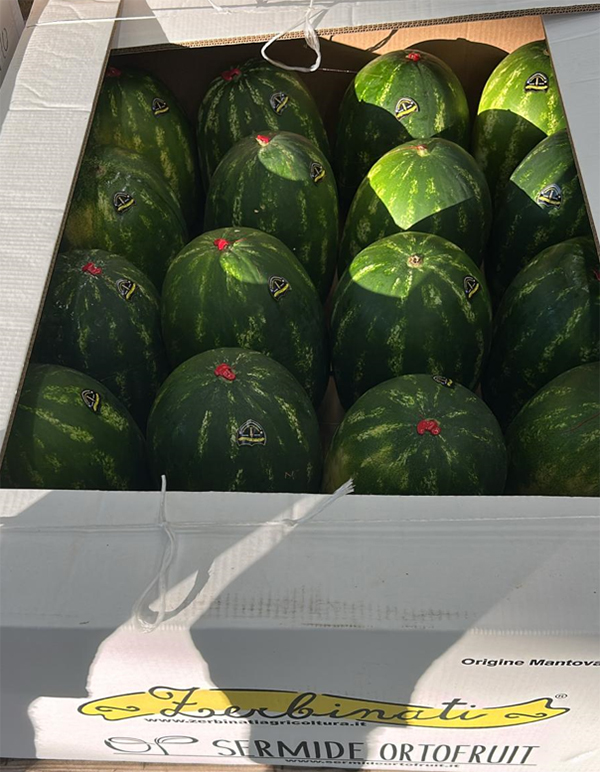 Anguria - Mantova - 1,30 euro al chilogrammo